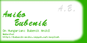 aniko bubenik business card